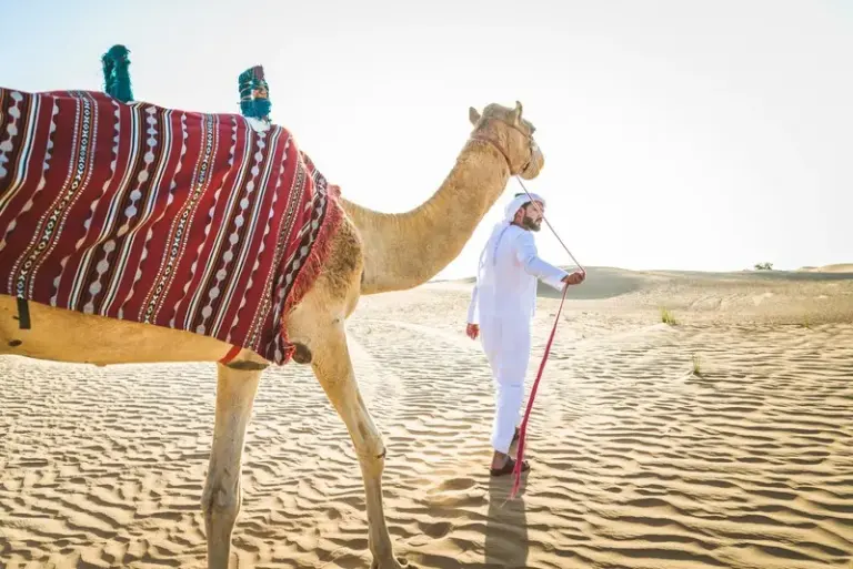 Turkey & Dubai with Abu Dhabi